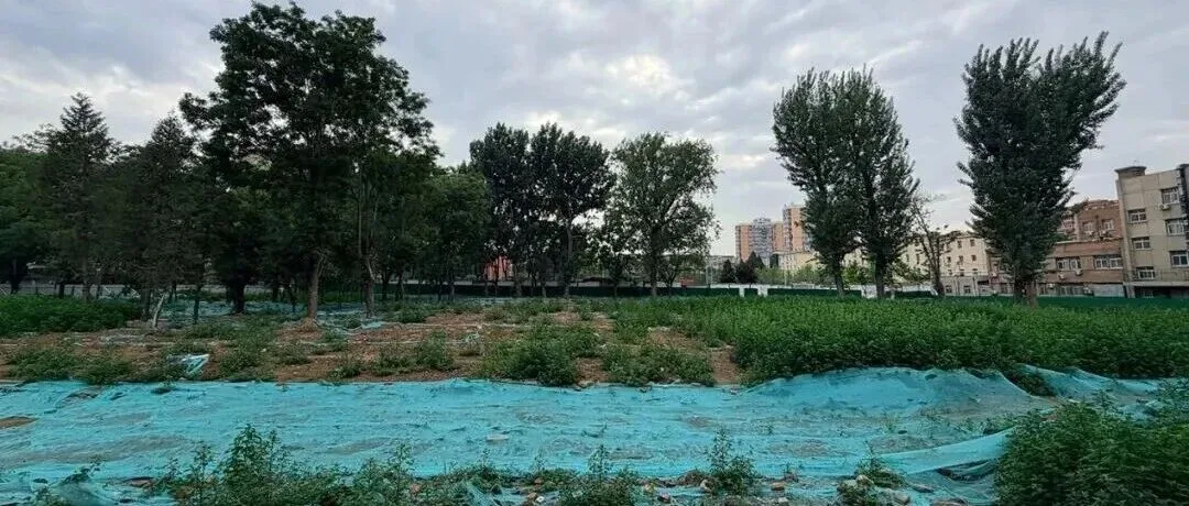 165轮竞价击败央企！这家民企横扫北京土拍市场